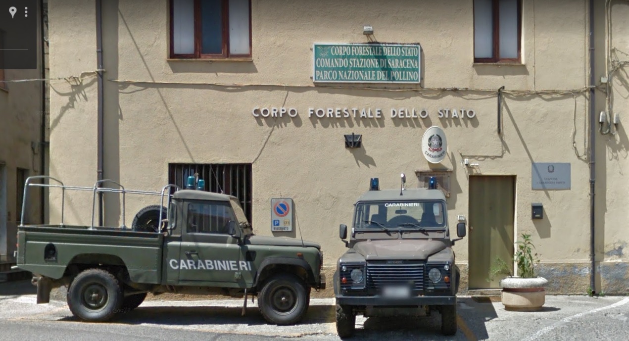 Corpo forestale dello Stato - Tutela Forestale, Ambientale e Agroalimentare