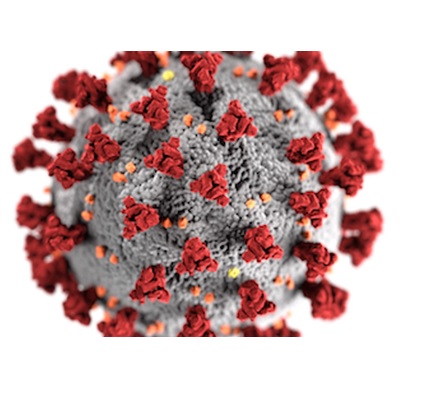 Coronavirus. il bollettino della regione calabria 