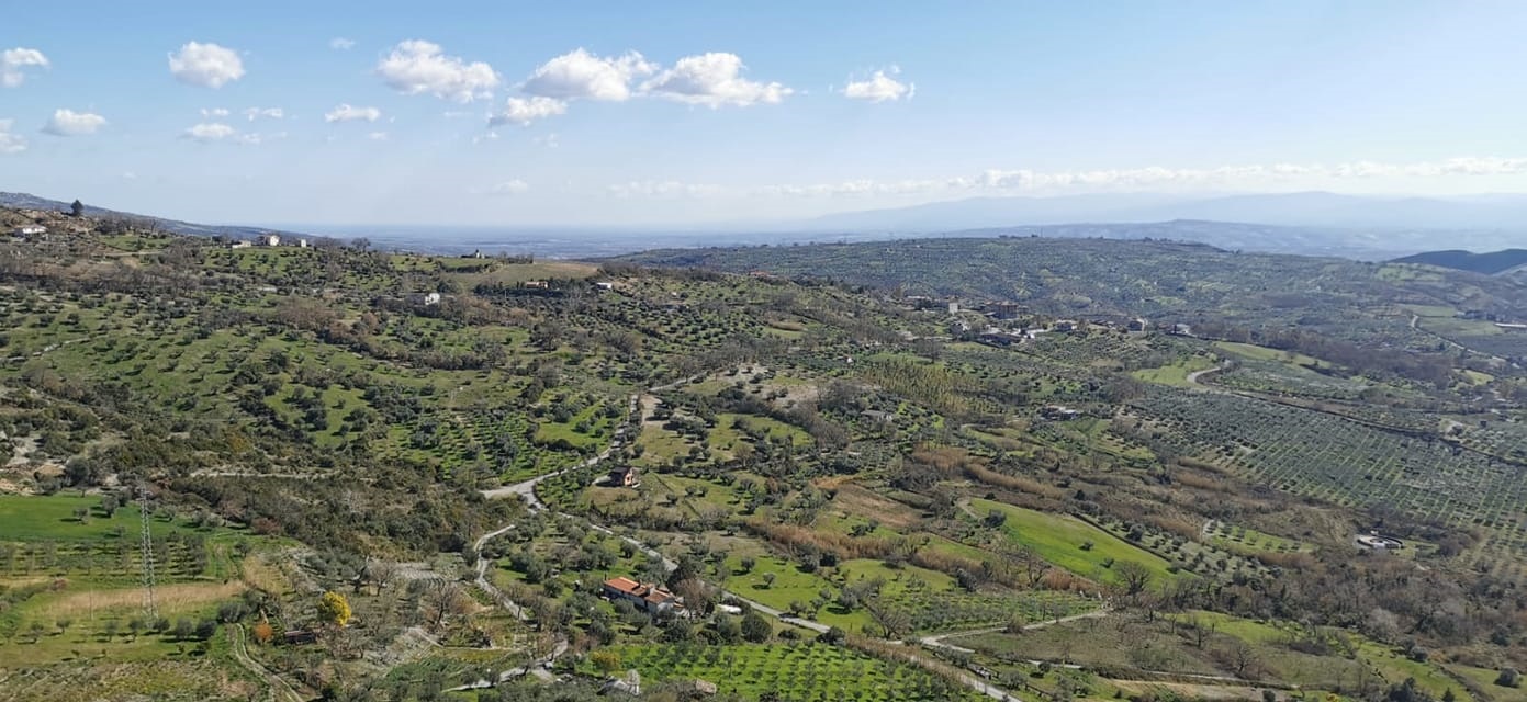 Emergenza coronavirus