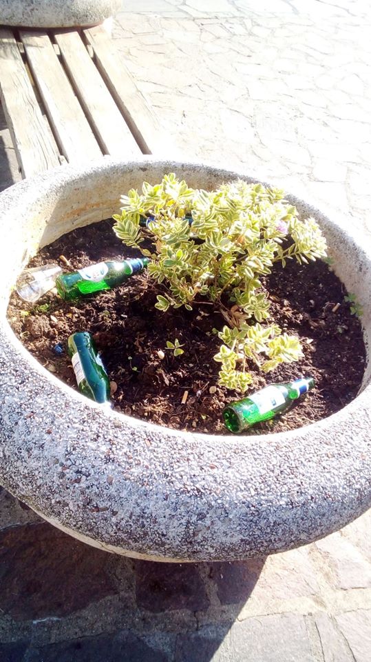 Chi abbandona bottiglie di vetro in un vaso posto in uno spazio pubblico è un incivile.