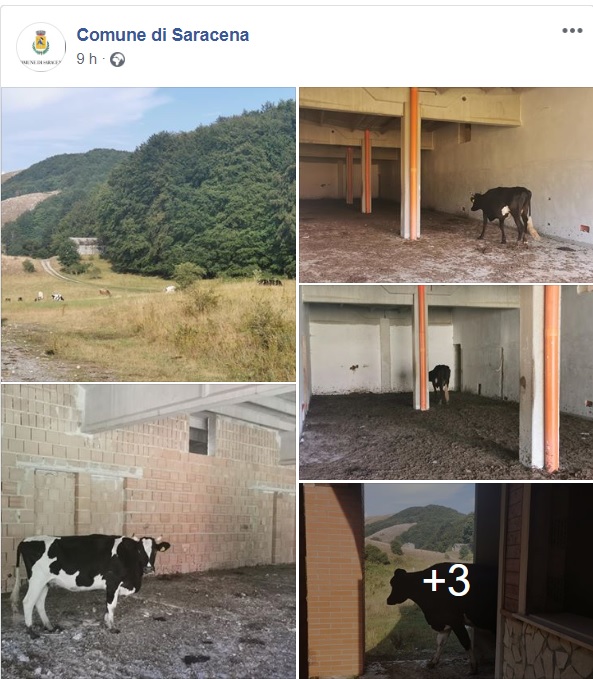A Masistro non si può andare avanti in queste condizioni.