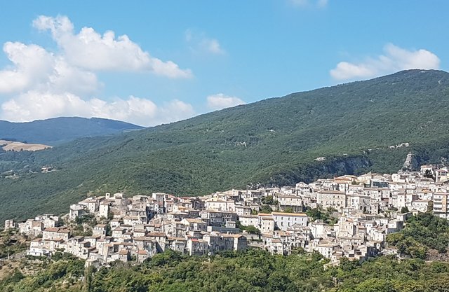 saracena