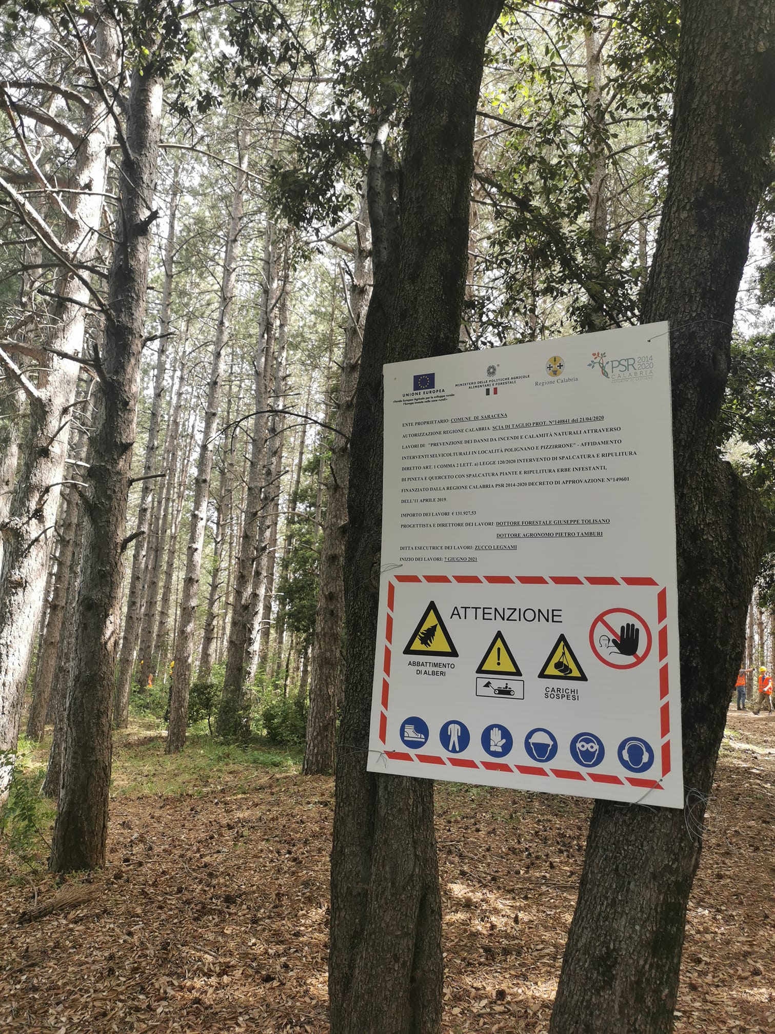 Prevenzione dei danni da incendi e calamità naturali